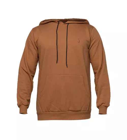هودی مردانه کلاه دار ساده Polo مدل 46683